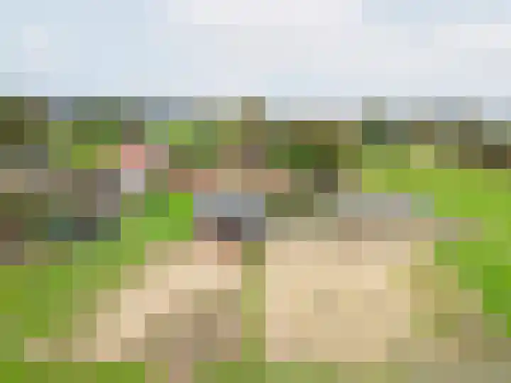 Heideveld 7 Kilder thumbnail 4