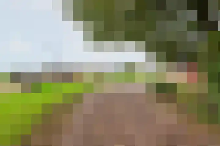 Heideveld 7 Kilder thumbnail 40