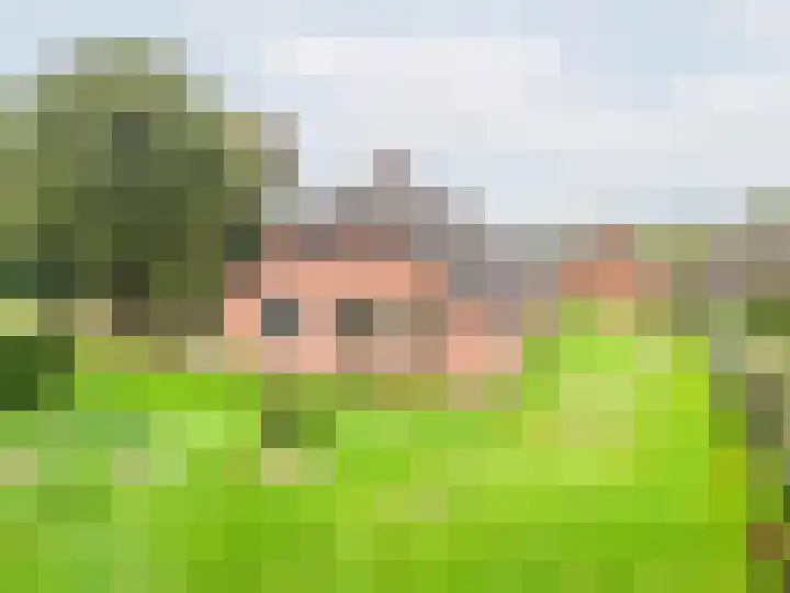 Heideveld 7 Kilder thumbnail 5