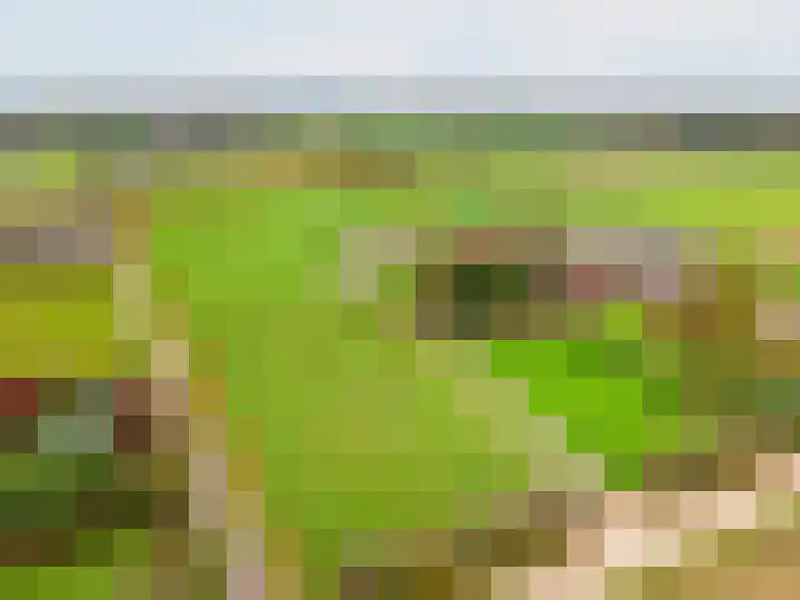 Heideveld 7 Kilder thumbnail 53