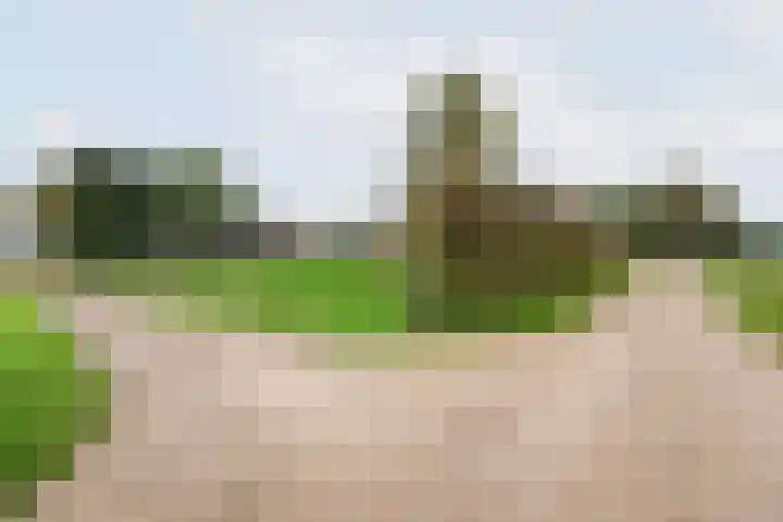 Heideveld 7 Kilder thumbnail 56