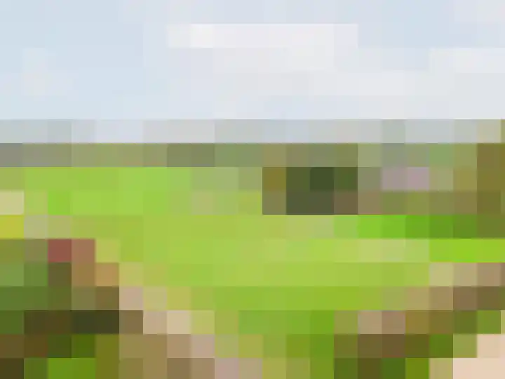 Heideveld 7 Kilder thumbnail 6