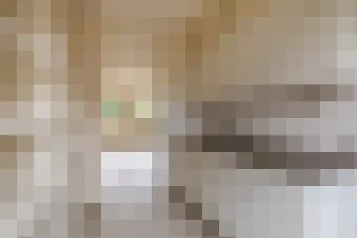 Heideveld 9 Assen thumbnail 14