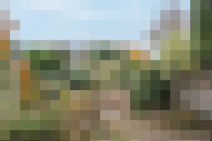 Heideveld 9 Assen thumbnail 28