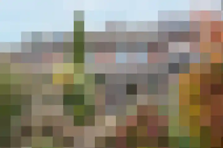 Heideveld 9 Assen thumbnail 31