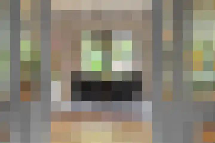 Heideveldhoeve 11 Vught thumbnail 10