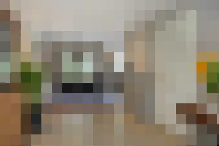 Heideveldhoeve 11 Vught thumbnail 11