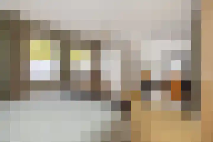 Heideveldhoeve 11 Vught thumbnail 22