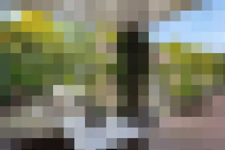 Heideveldhoeve 11 Vught thumbnail 28