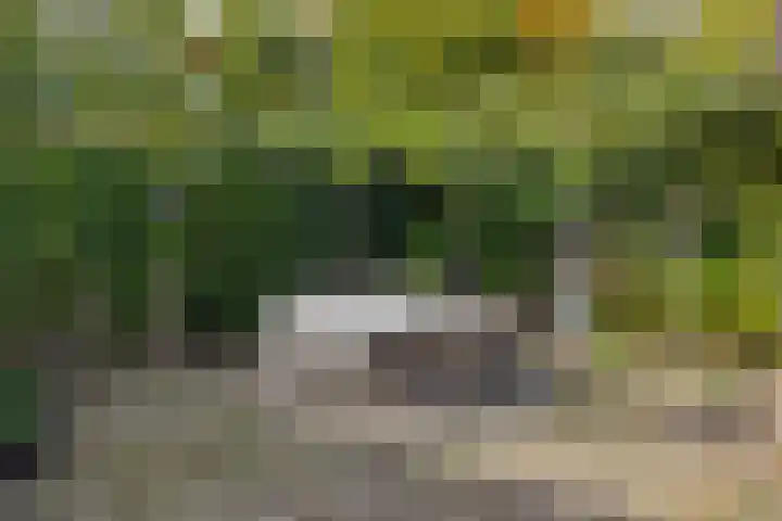 Heideveldhoeve 11 Vught thumbnail 29