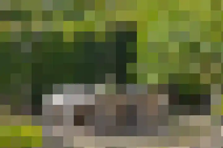 Heideveldhoeve 11 Vught thumbnail 30