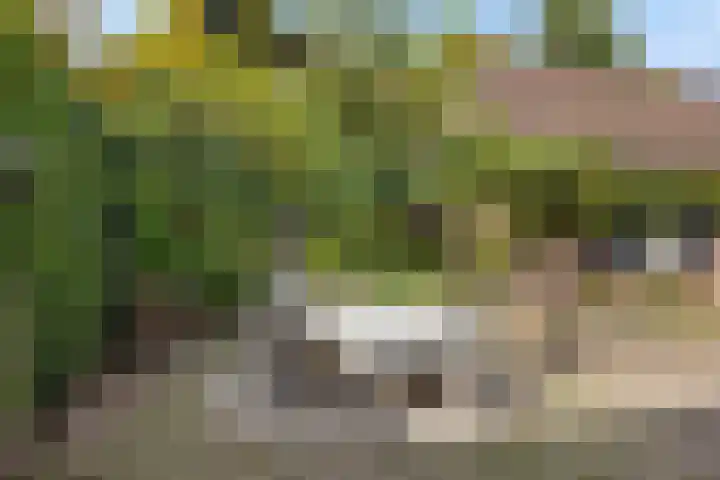 Heideveldhoeve 11 Vught thumbnail 31