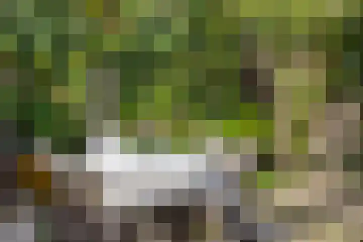 Heideveldhoeve 11 Vught thumbnail 32