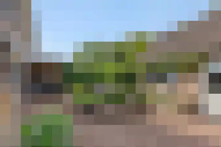 Heideveldhoeve 11 Vught thumbnail 34