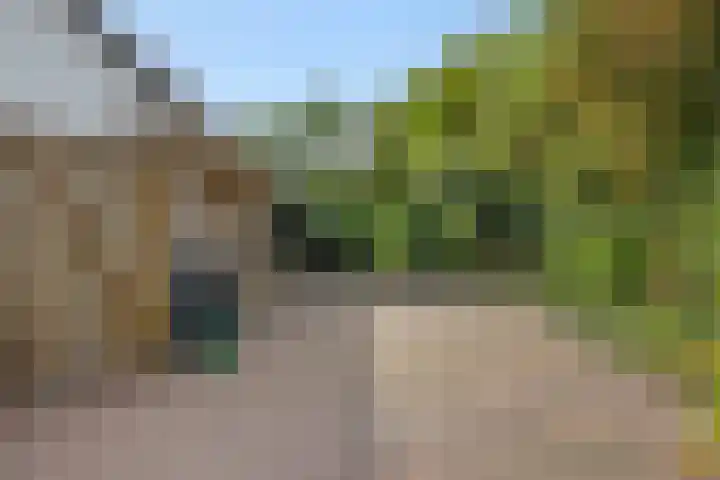 Heideveldhoeve 11 Vught thumbnail 37