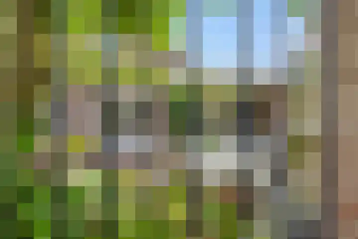 Heideveldhoeve 11 Vught thumbnail 38