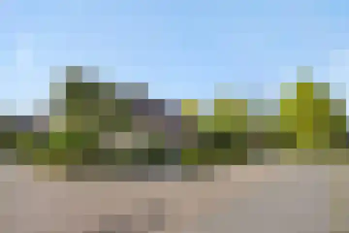 Heideveldhoeve 11 Vught thumbnail 44