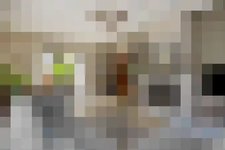 Heideveldhoeve 11 Vught thumbnail 7