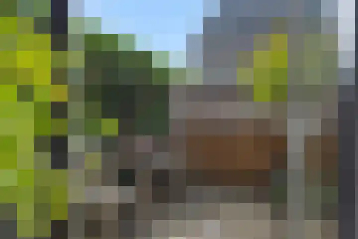 Heideveldhoeve 11 Vught thumbnail 8