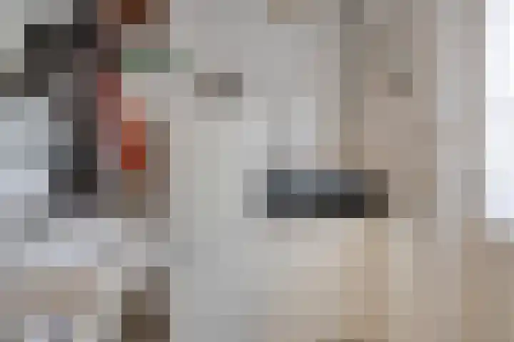 Heideveldweg 1 Overdinkel thumbnail 15