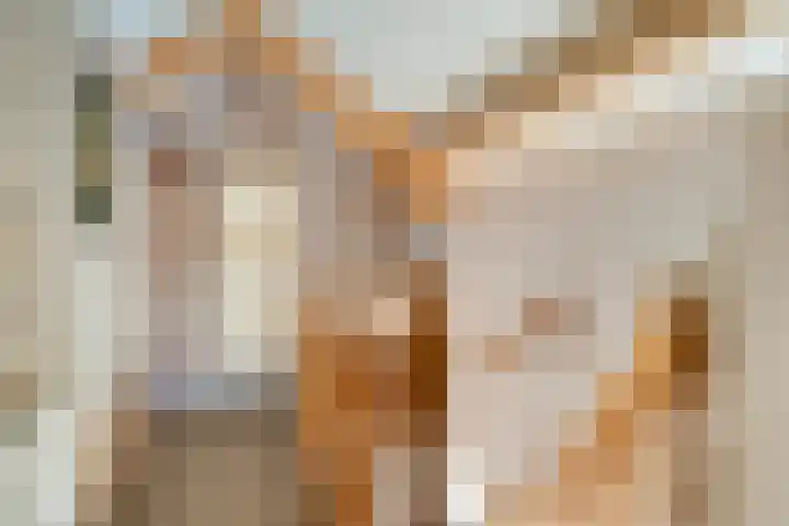 Heideveldweg 1 Overdinkel thumbnail 21