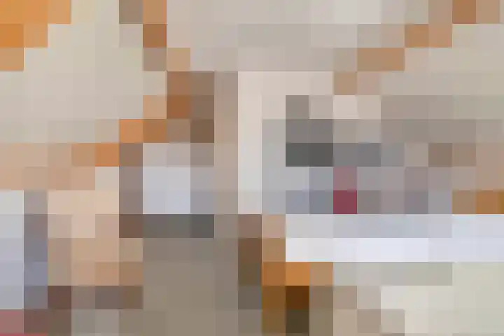 Heideveldweg 1 Overdinkel thumbnail 23