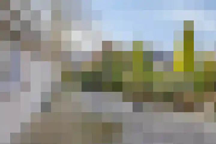 Heideveldweg 1 Overdinkel thumbnail 27