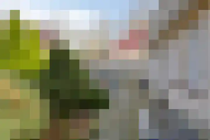 Heideveldweg 1 Overdinkel thumbnail 28