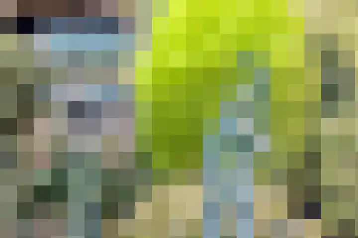 Heideveldweg 1 Overdinkel thumbnail 31