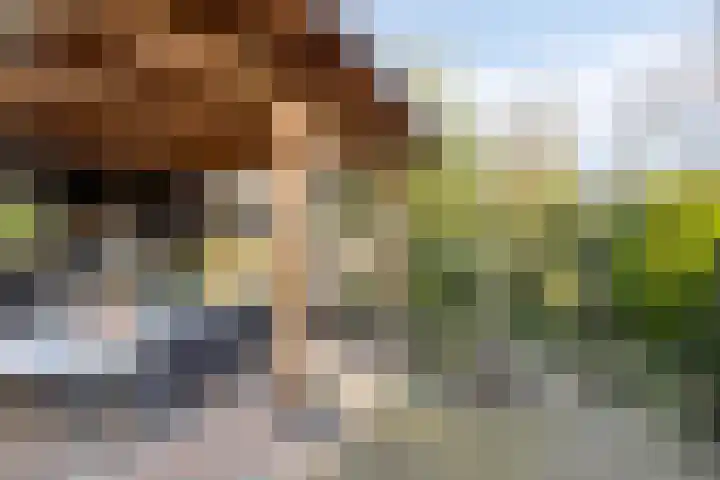 Heideveldweg 1 Overdinkel thumbnail 32