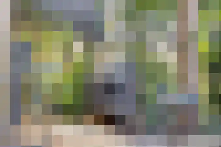 Heideveldweg 1 Overdinkel thumbnail 34