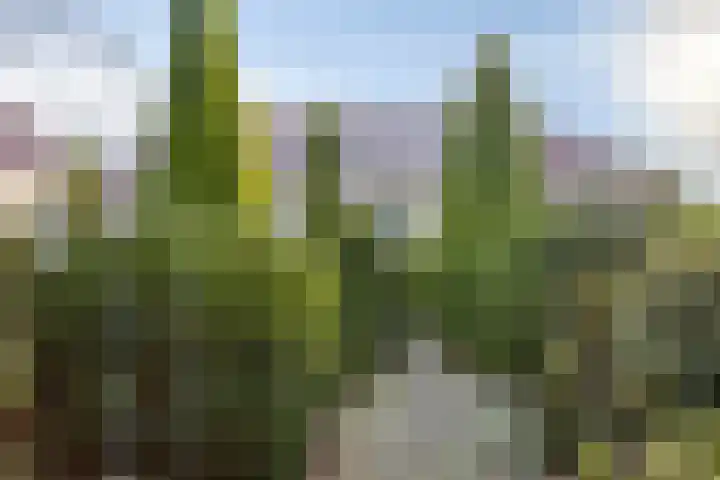 Heideveldweg 1 Overdinkel thumbnail 35