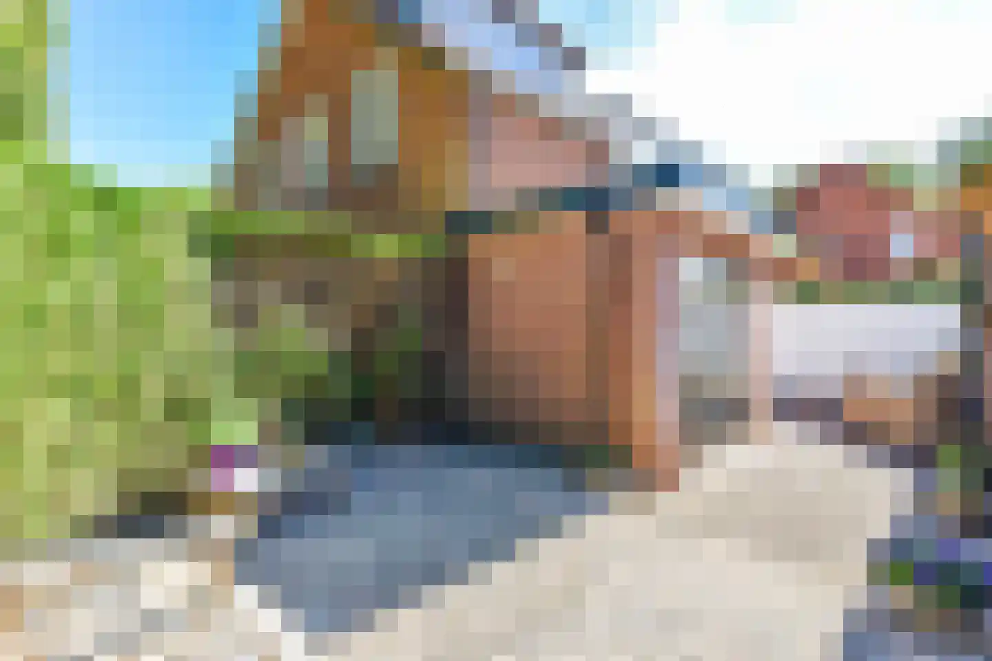 Heideveldweg 104 Laren thumbnail 19