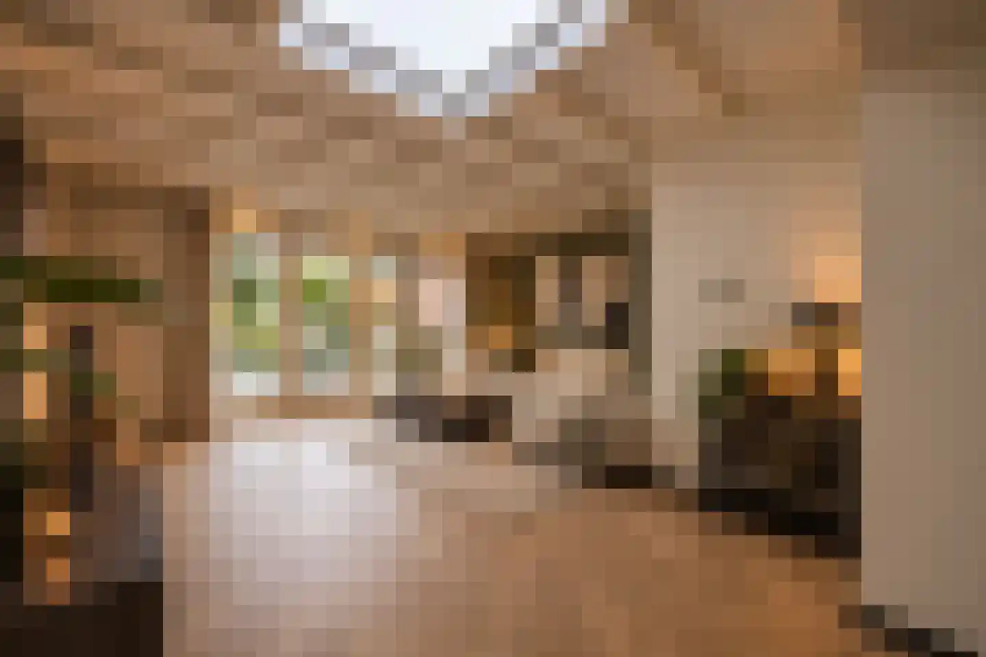 Heideveldweg 105 Laren thumbnail 11