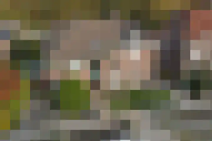 Heideveldweg 15 B Heerlen thumbnail 39