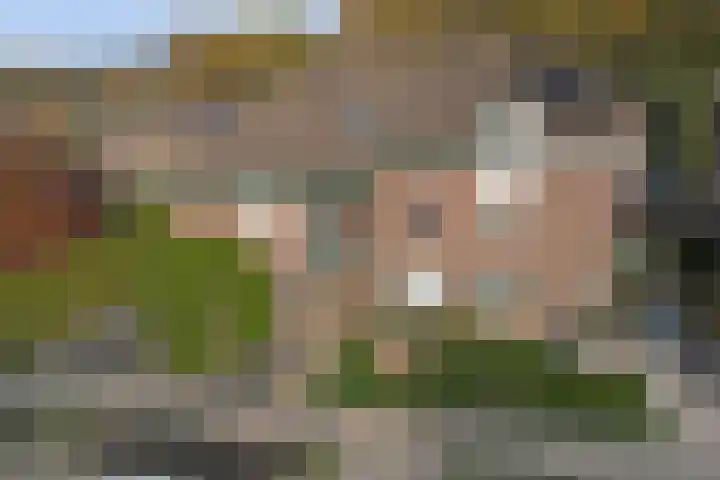 Heideveldweg 15 B Heerlen thumbnail 41