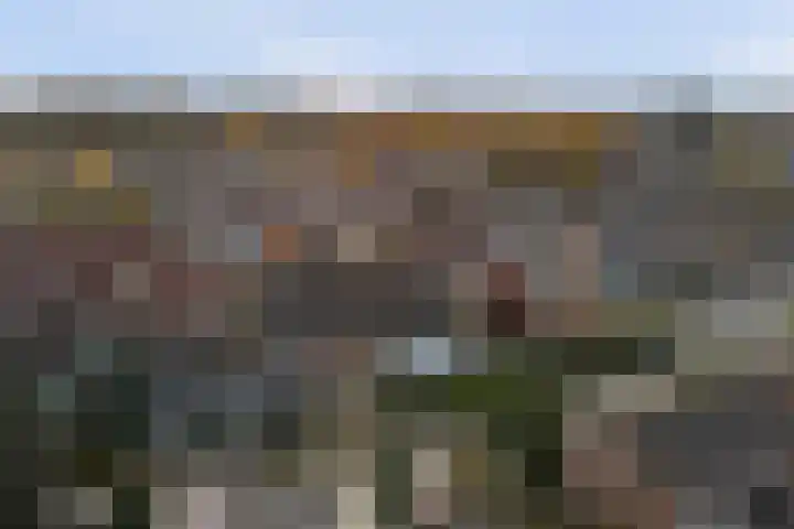 Heideveldweg 15 B Heerlen thumbnail 43
