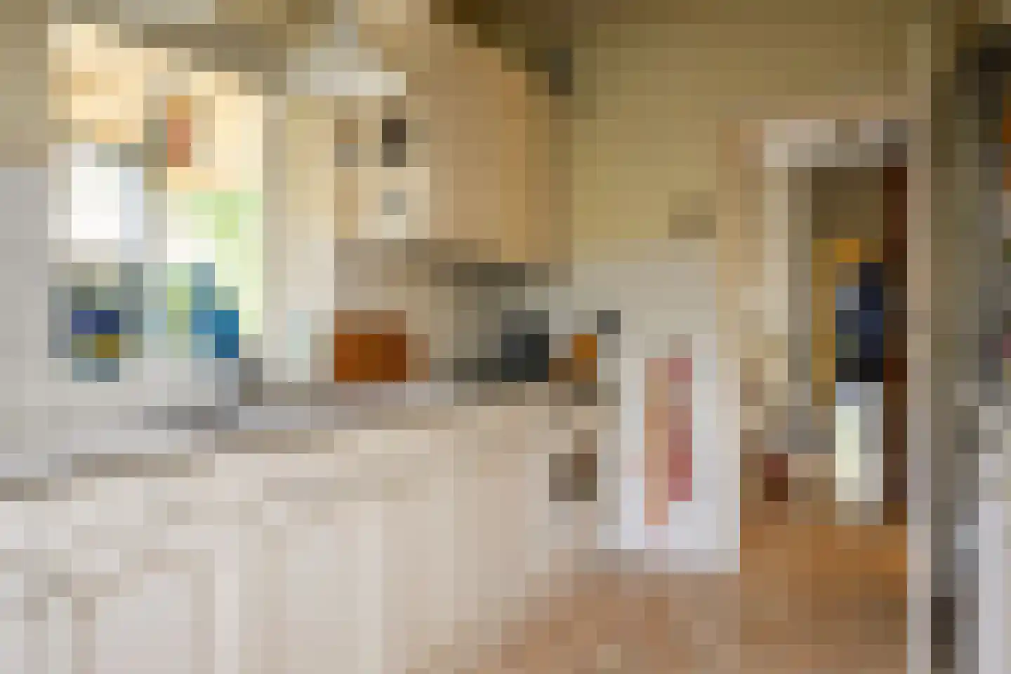 Heideveldweg 21 Laren thumbnail 12