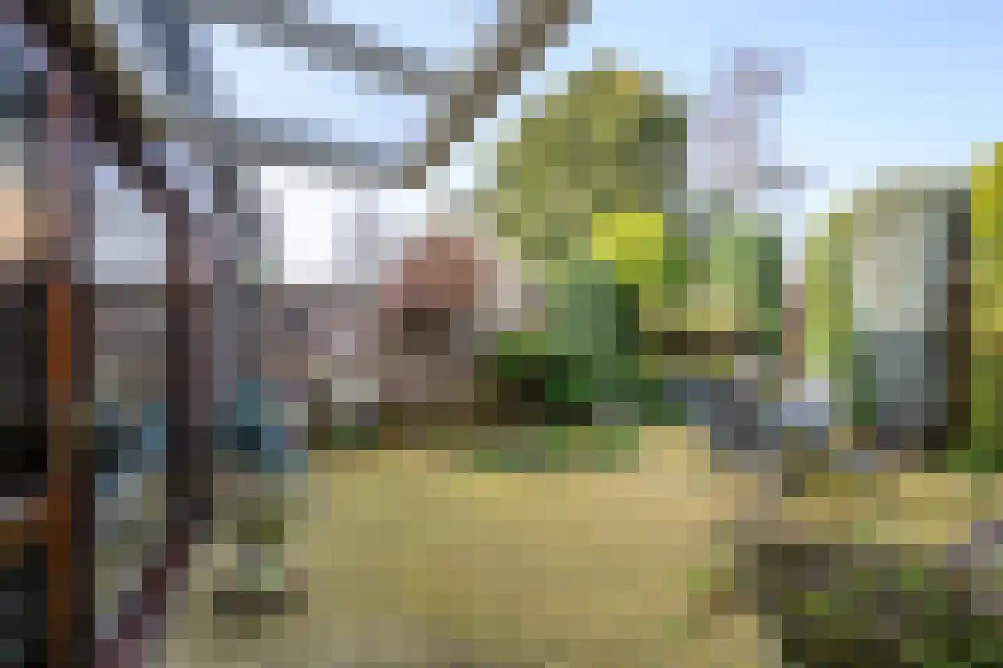 Heideveldweg 21 Laren thumbnail 23