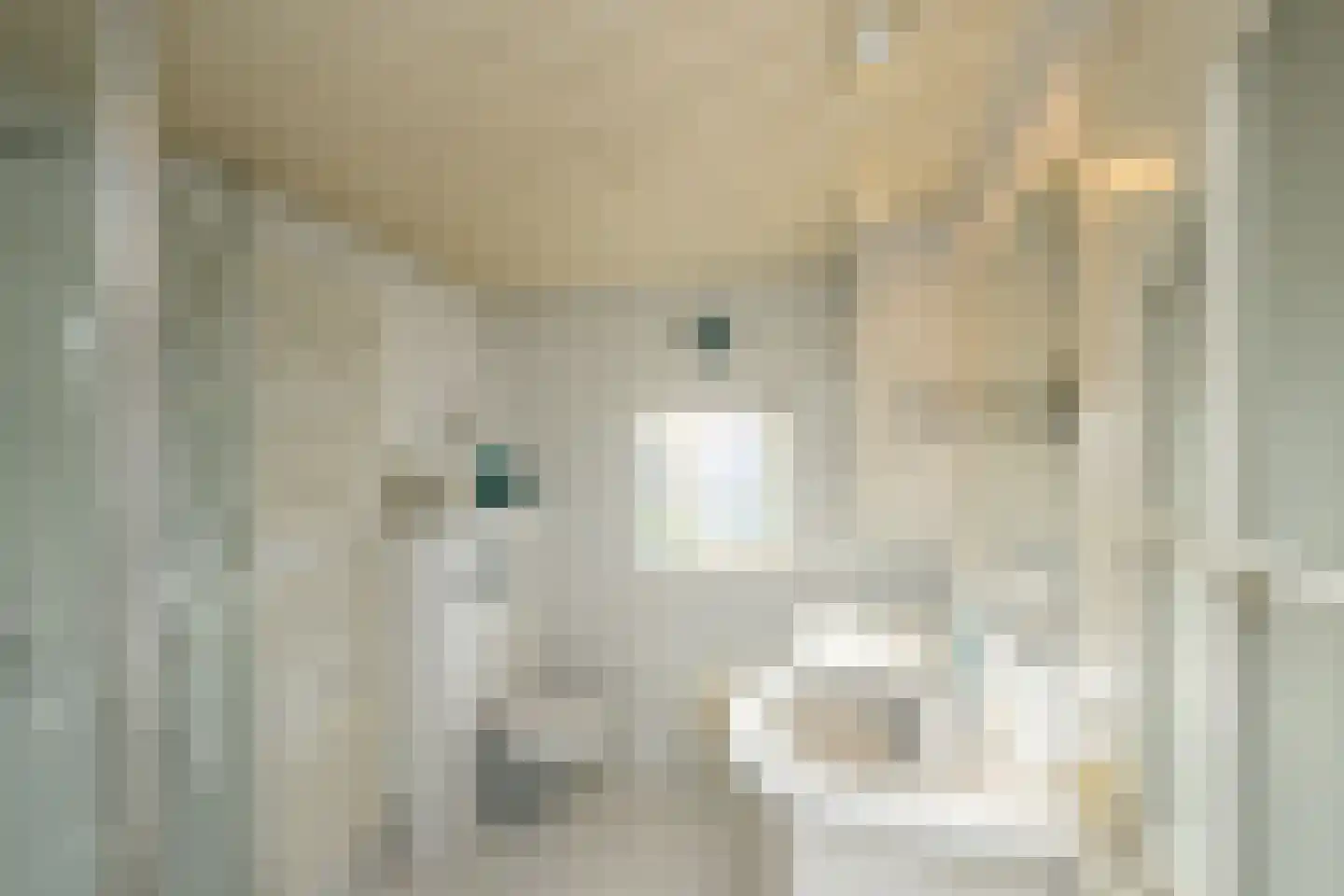 Heideveldweg 21 Laren thumbnail 28