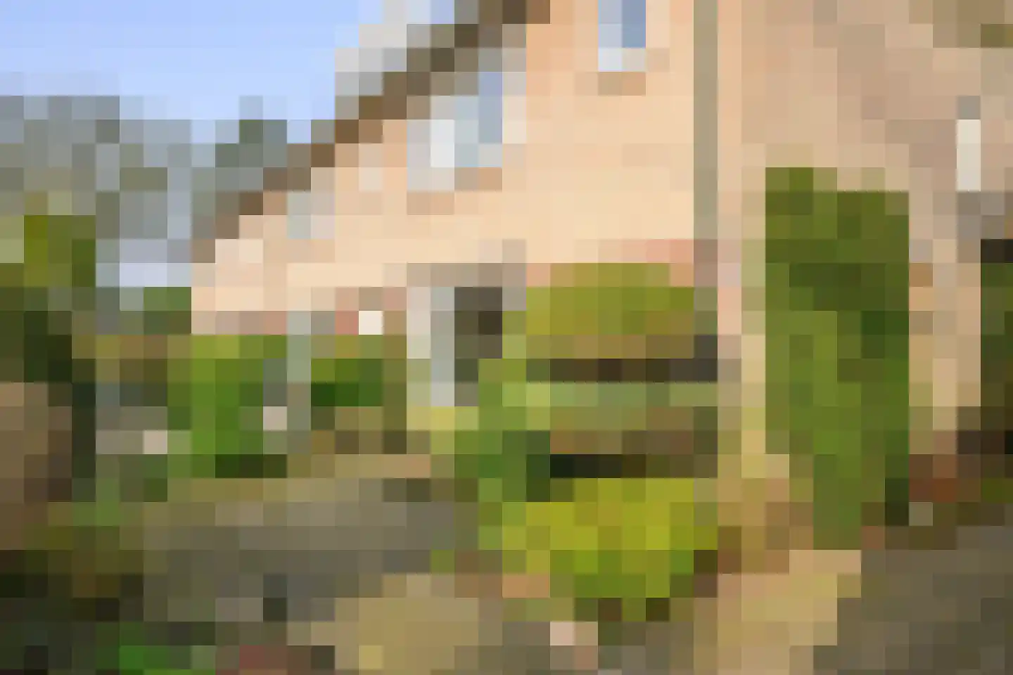 Heideveldweg 21 Laren thumbnail 6