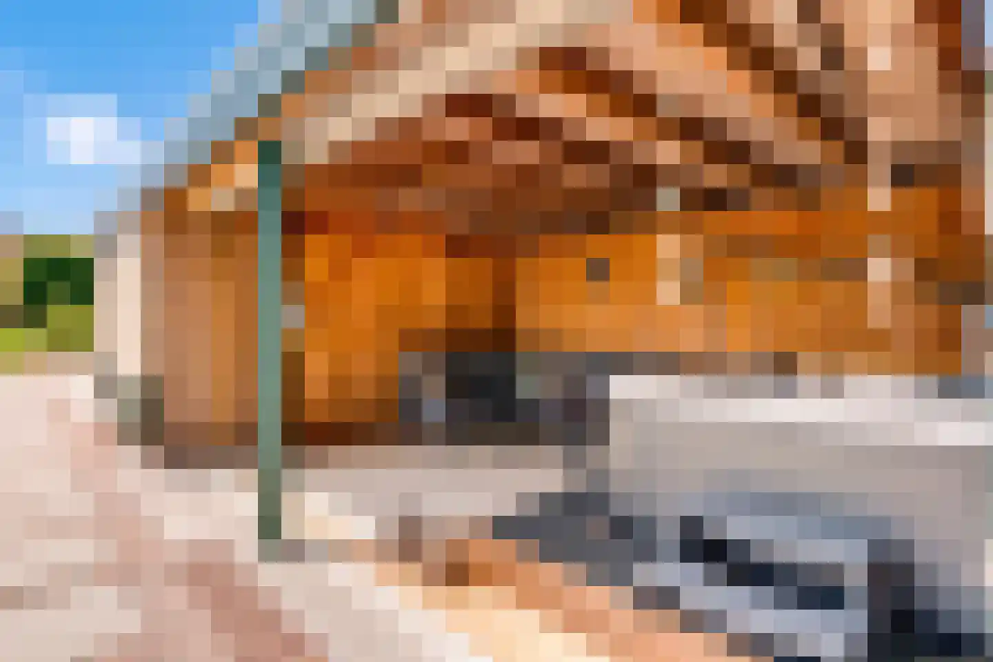 Heideveldweg 25 Heerlen thumbnail 18