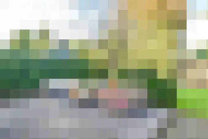 Heideveldweg 29 Laren thumbnail 12