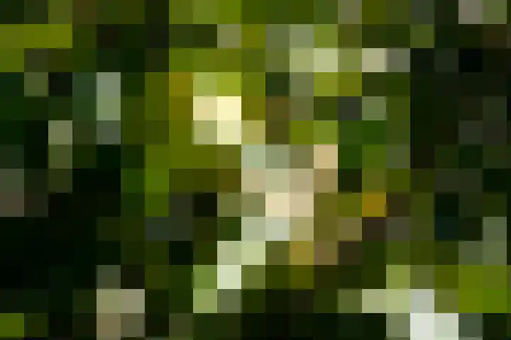 Heideveldweg 29 Laren thumbnail 15