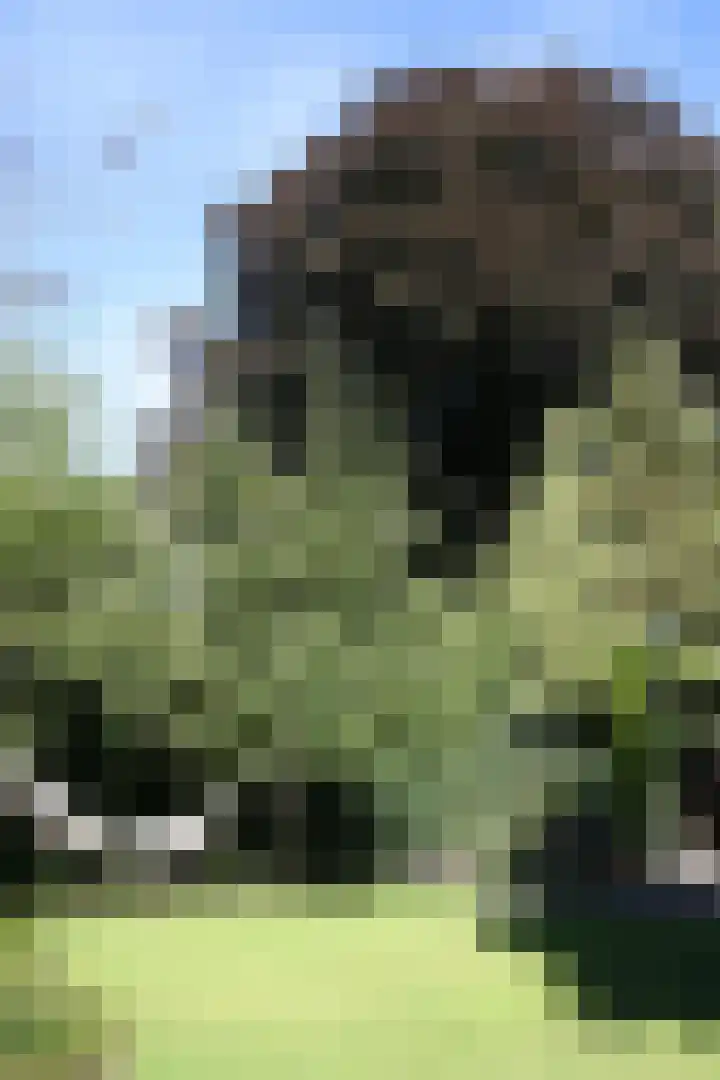 Heideveldweg 29 Laren thumbnail 16