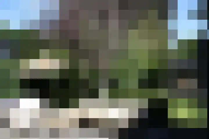 Heideveldweg 29 Laren thumbnail 32