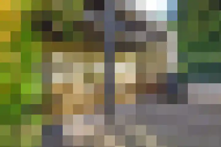 Heideveldweg 29 Laren thumbnail 33