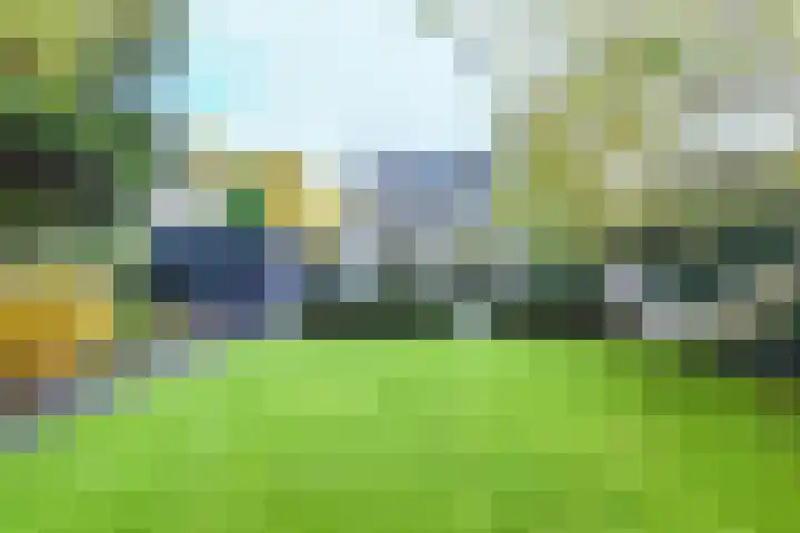 Heideveldweg 29 Laren thumbnail 41