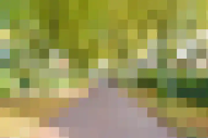 Heideveldweg 29 Laren thumbnail 42