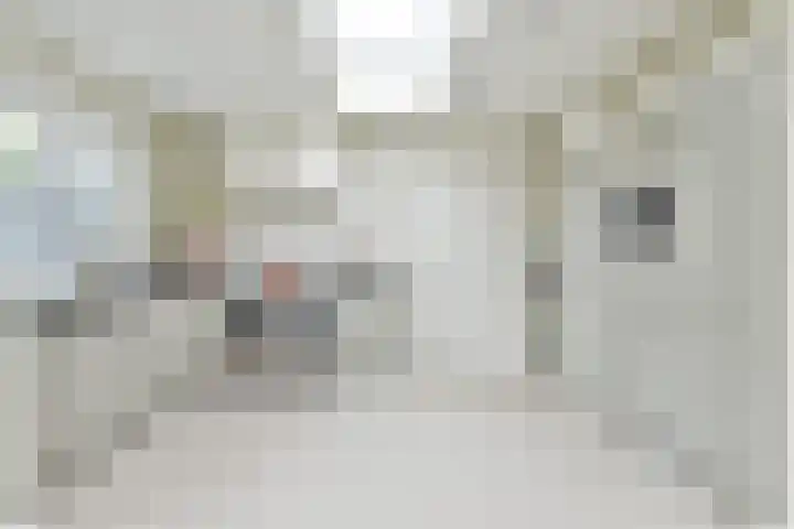 Heideveldweg 29 Laren thumbnail 7